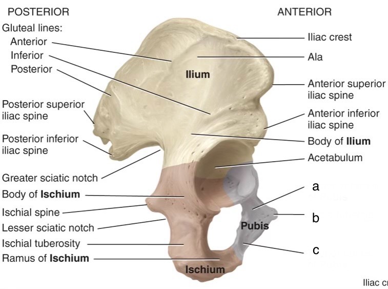 <p>b</p>