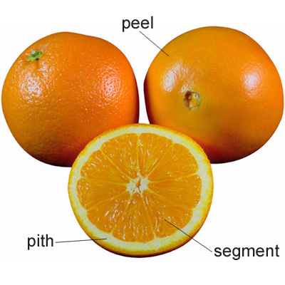 <p>(noun)</p><p>The choicest, most essential, or most vital part of an idea or experience </p><p>Word Associations: Essence and Point</p>