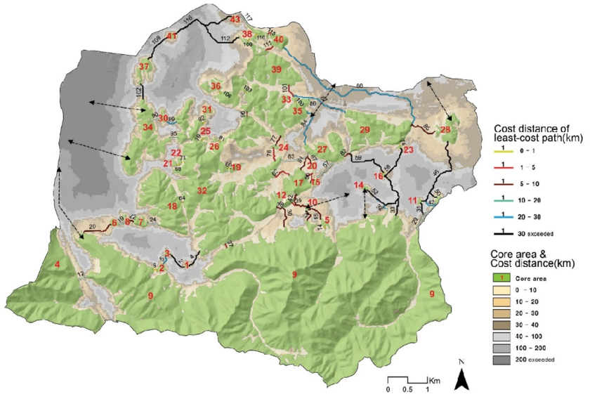 <p>think of it as a map which shows the line of best fit</p>