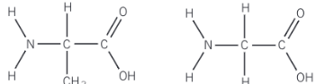 <p>Show the polypeptide formed from these monomers</p>