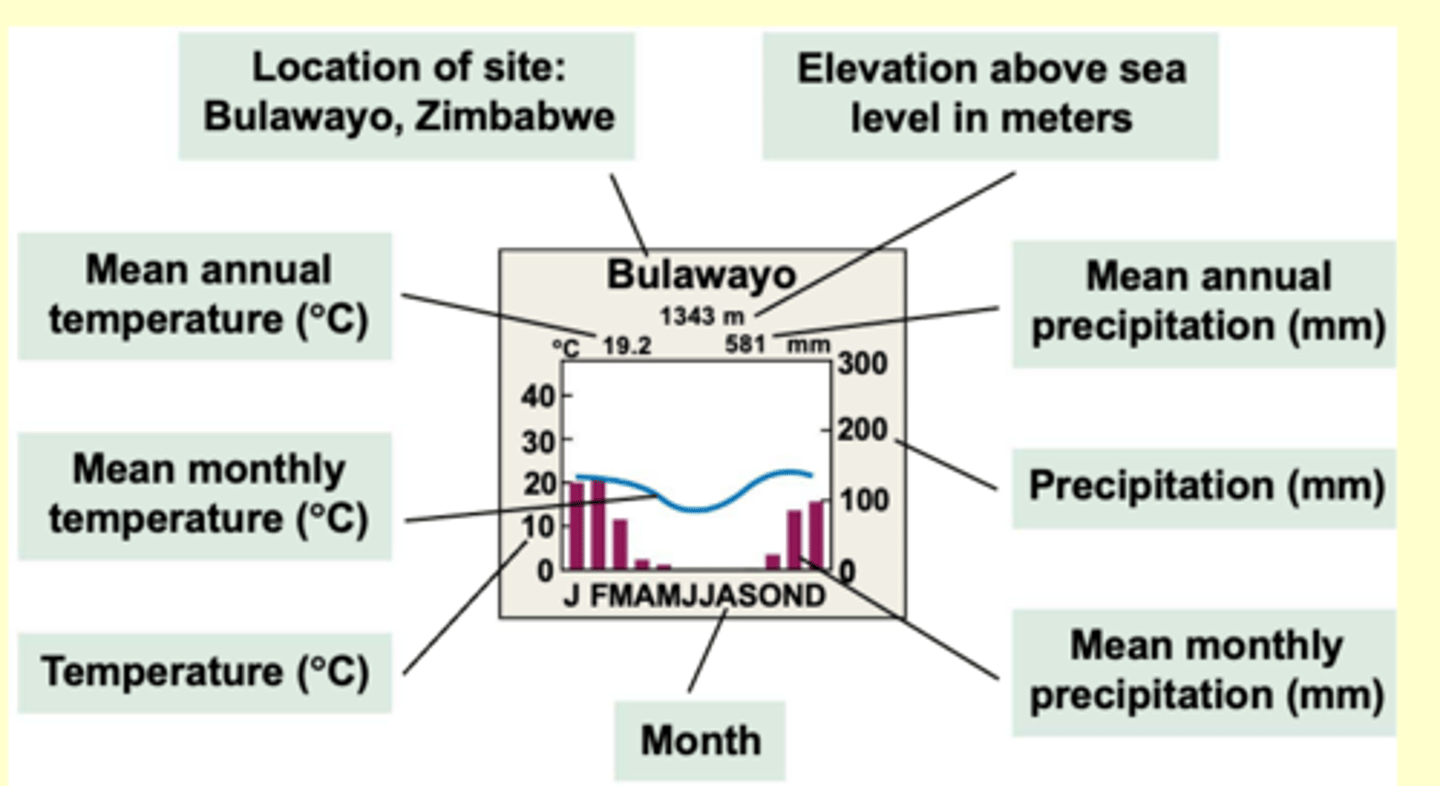 <p>describes the local climate at representative locations around the world</p><p>- can be used to compare and contrast the climate at different locations around the world</p>