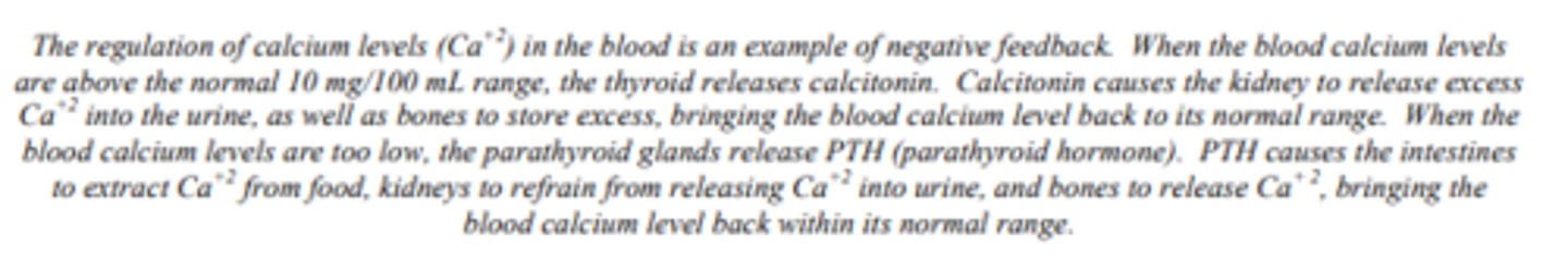 <p>Identify one of the target cells/organs for the hormone in part b and its resulting effect.</p>
