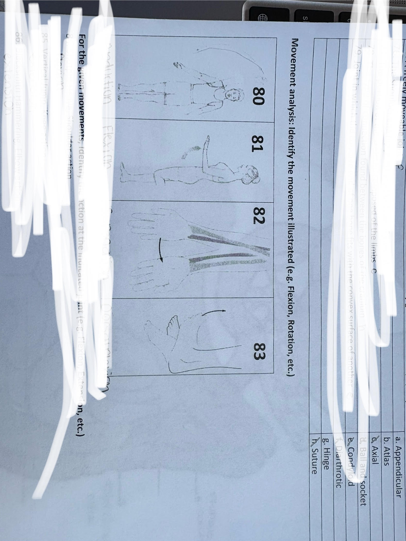 <p>label</p>