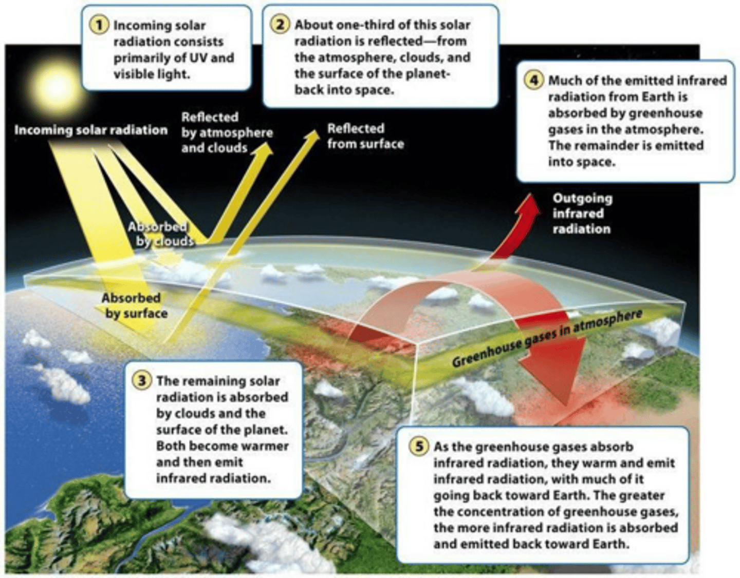 <p>The greenhouse effect is the process by which certain gases trap heat in the Earth's atmosphere, regulating temperature.</p>