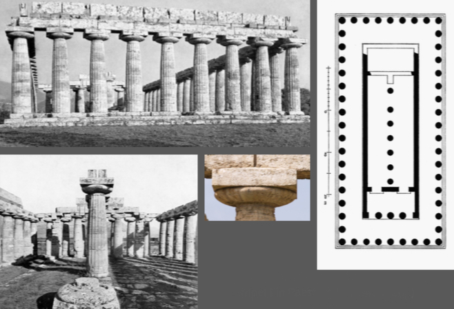 <ul><li><p>Dorischer Peripterostempel</p></li><li><p>einreihiger Stützenreihe in der Cella (Naos) mit Vorhalle (Pronaos)</p></li><li><p>Um 540 v. Chr.</p></li></ul><p></p>