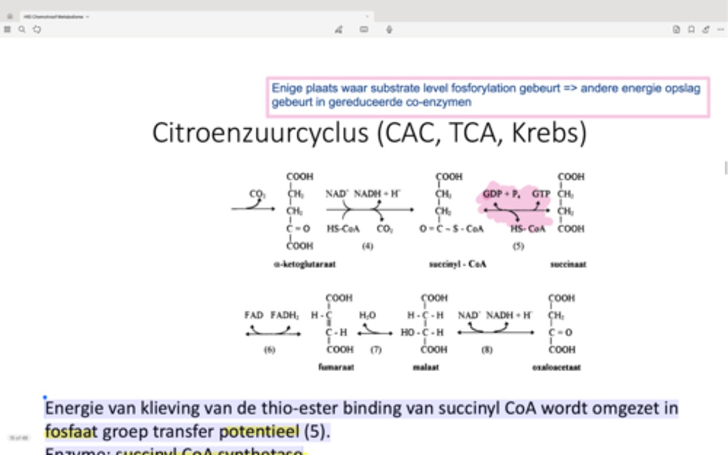 <p>Energie van klieving van de thio-ester binding (~) van succinyl- CoA wordt omgezet in fosfaat groep transfer potentieel (5)</p><p>Er gebeurt substrate level phosphorylation waarbij GTP ontstaat, deze wordt nadien omgezet in ATP</p><p>het molecule dat overblijft noemt men succinaat</p><p>Enzyme: succinyl CoA synthetase</p>