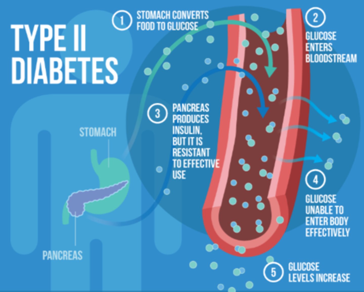 <p>- cannot use pancreas as well & cells stay locked</p><p>- insulin resistance may develop & glucose cannot get in, building up in bloodstream</p><p>- results in glucose deficiency => BAD! need glucose in cells</p>