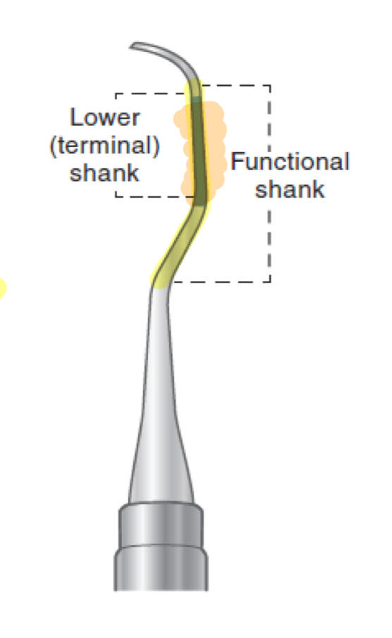 <p>working end = tip</p><p>terminal shank/lower shank= portion nearest to the working end</p><p>functional shank = portion of the shank that allows working end to be adapted to the tooth surface </p>