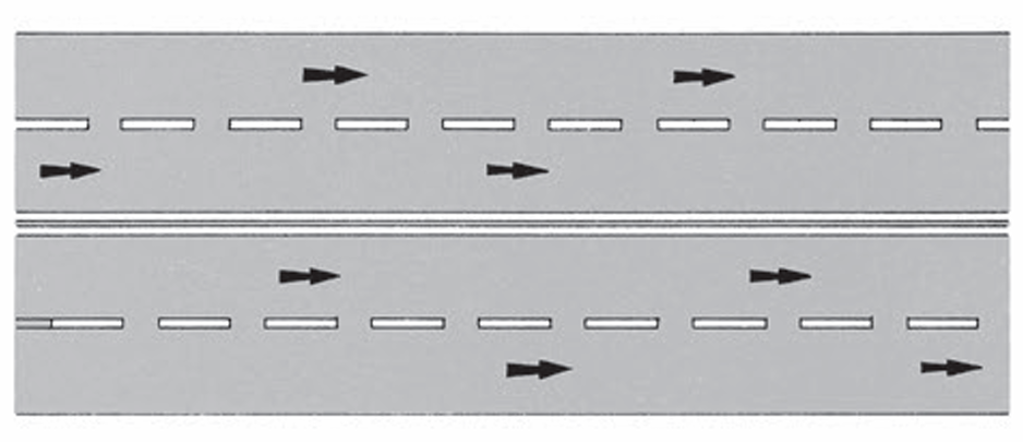 <p>Double Solid White Lines</p>