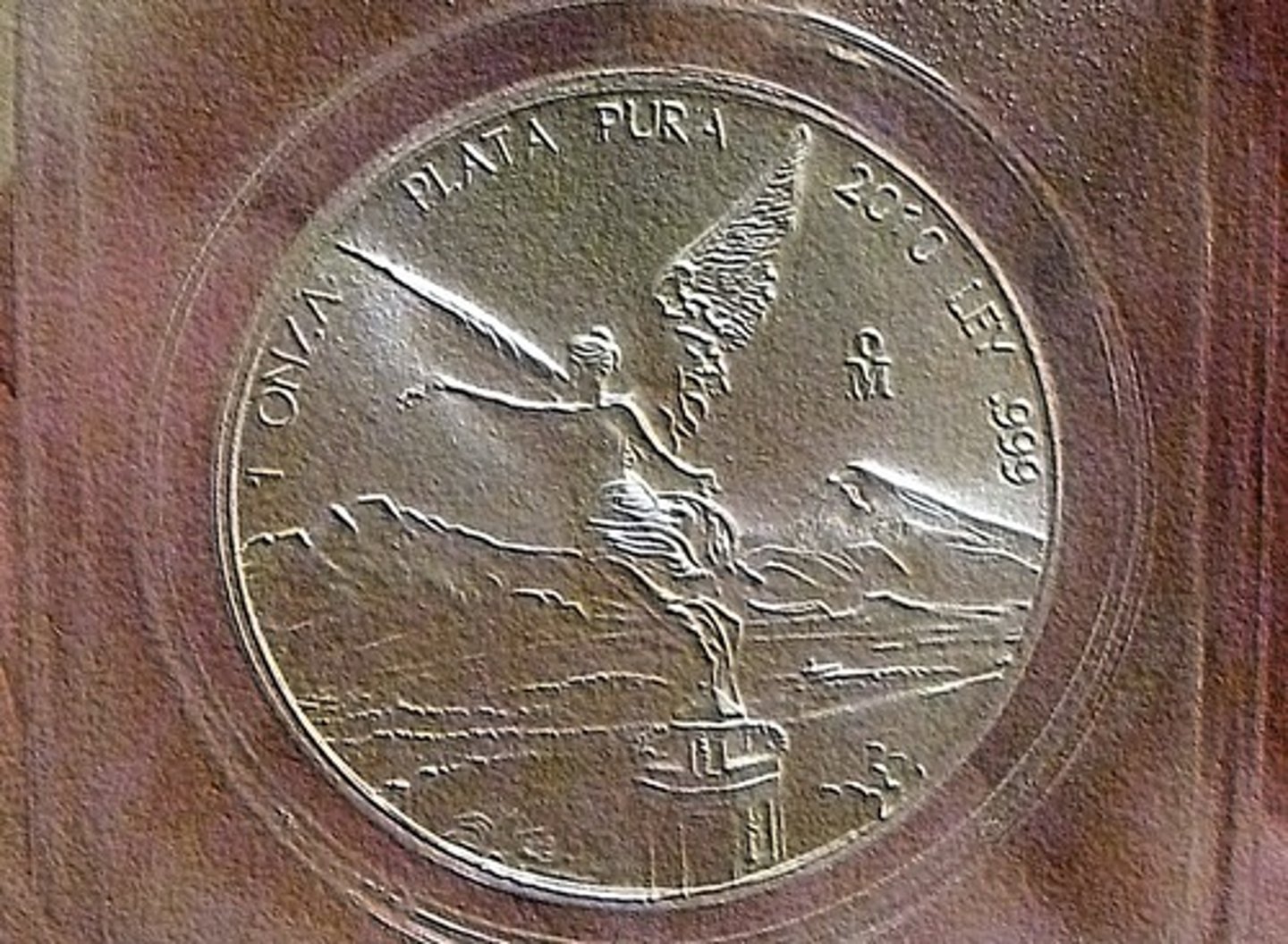 <p>Free, unlimited coinage of free silver, which would cause inflation. Supported by farmers, Democrats, the Populist Party, Westerners and Southerners</p>