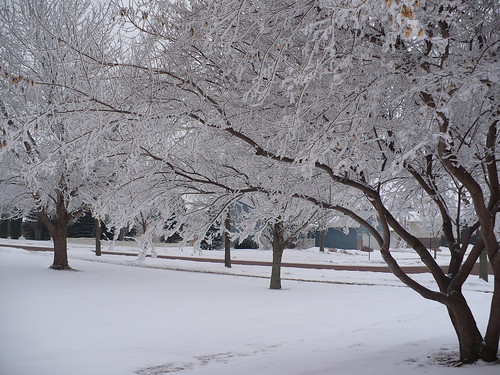 winter