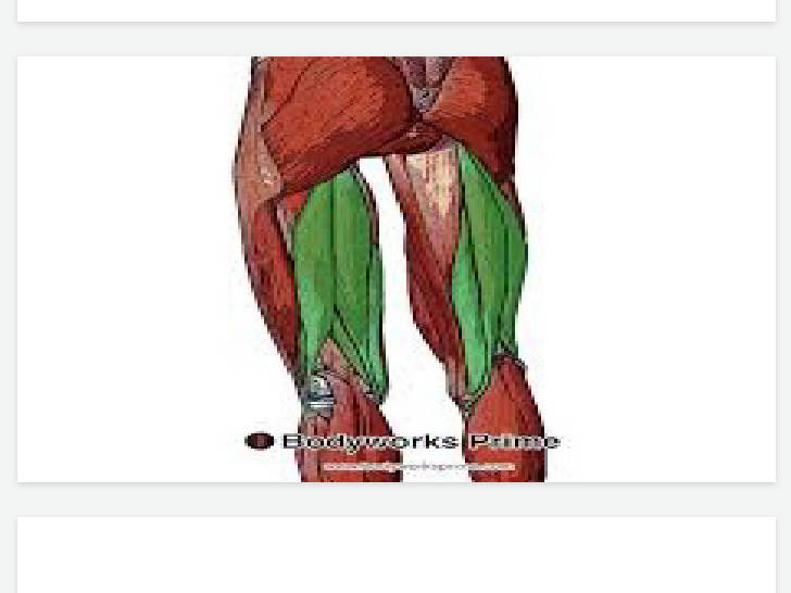 <p>Lower body</p>
