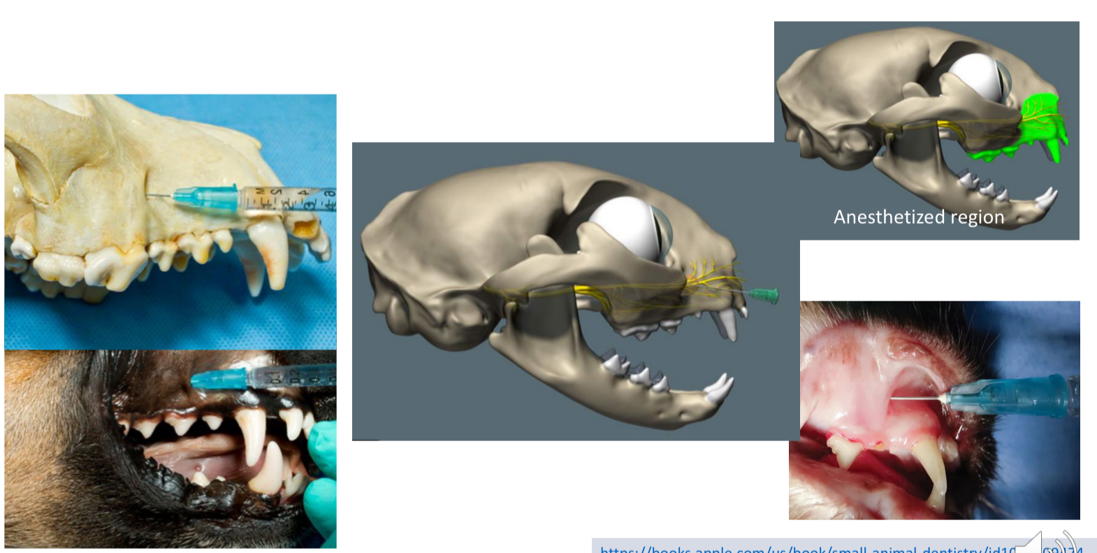 <p>which nerve block is thsi</p>