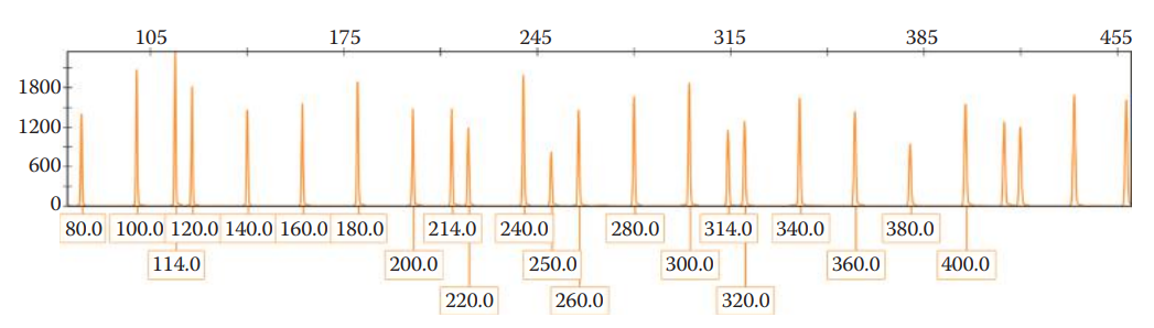 Electropherogram of GeneScanTM 500 size standard (Applied Biosystems). RFU represents relative fluorescence unit. (© Richard C. Li.)