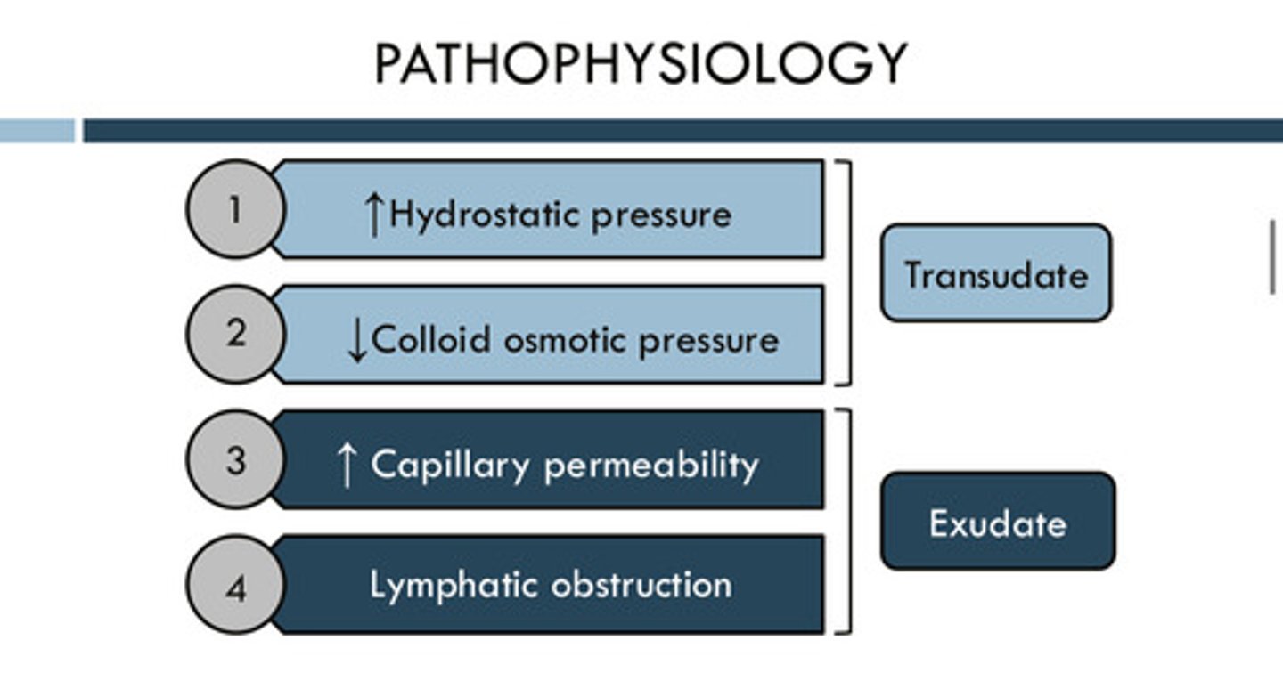 <p>a fluid that results from increased capillary permeability and lymphatic obstruction; a fluid that has a lot of protein and cells in it</p>