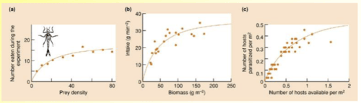 <p>Consumption rate increases with prey abundance, but in a decelerating way</p><p>Caused by predator spending more time on handling prey than finding prey at high densities</p>