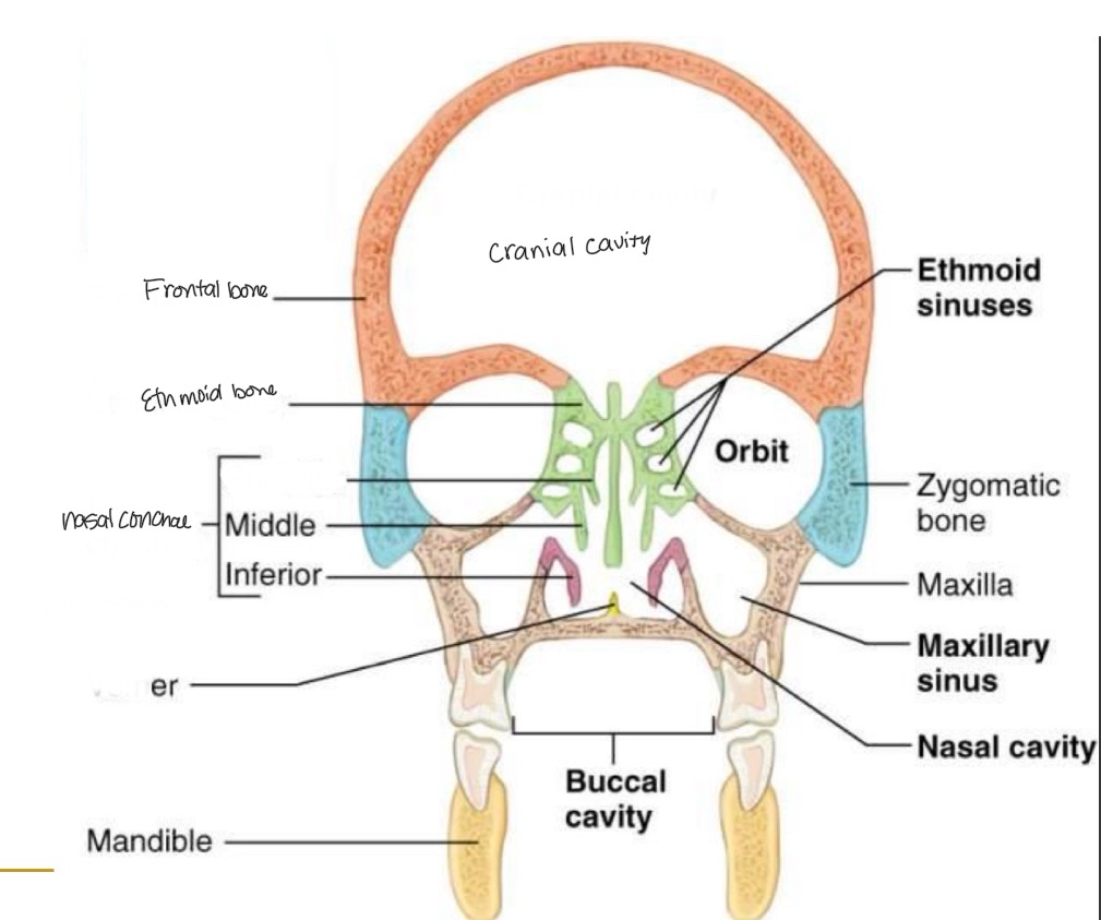 <p><br>label missing word on diagram</p>