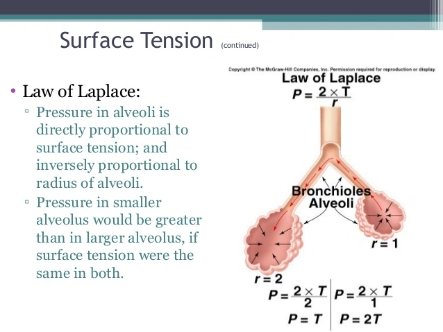 <ul><li><p>Surface tension  over radius (aka leplace law)</p></li></ul><p></p>
