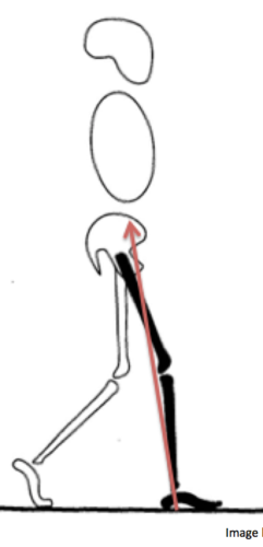 external flexion torque
-GRF anterior to joint
