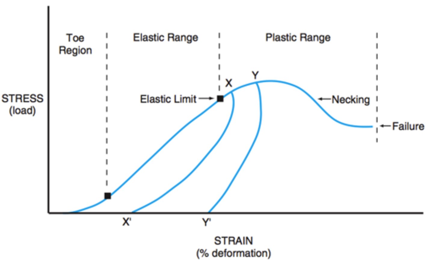 <p>Stretch intensity that pulls connective tissue into plastic region of stress-strain curve</p>