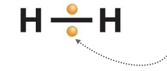 <p>Electrons are shown to be superimposed on the bond to indicate they are halfway between the 2 atoms, shared equally.</p>