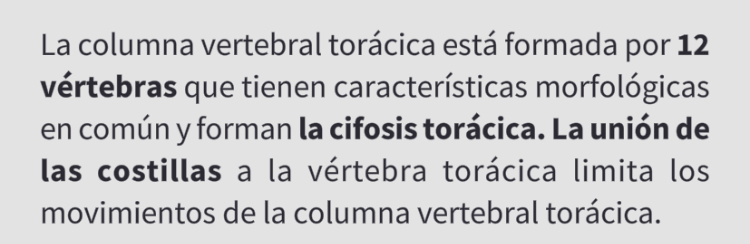 <p>Vértebra Torácica (T1)</p>