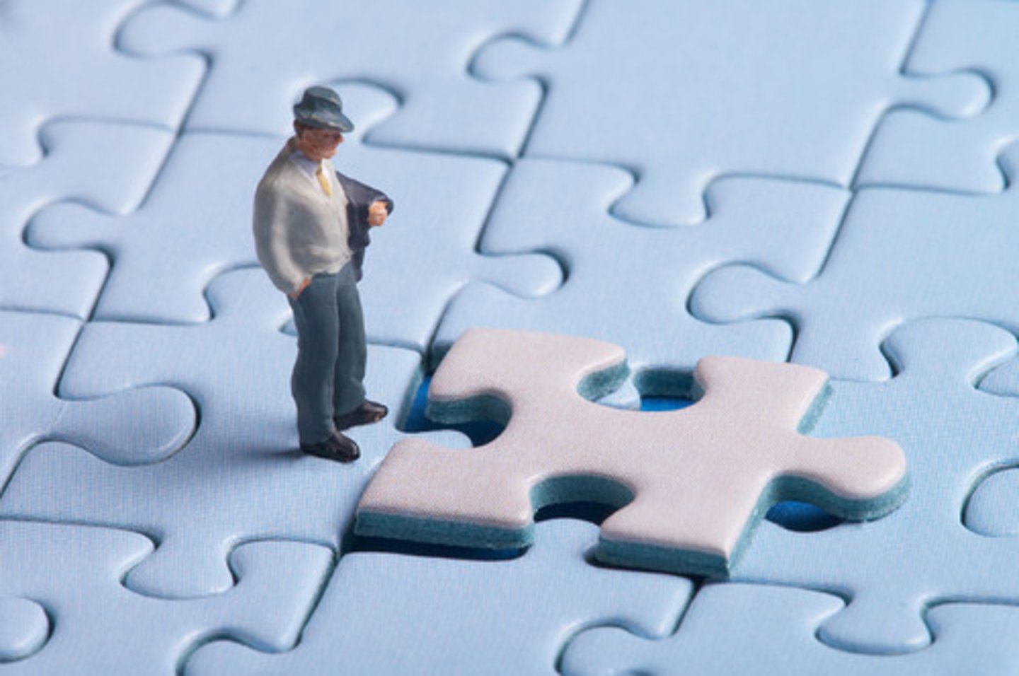 <p>người giải quyết vấn đề</p>