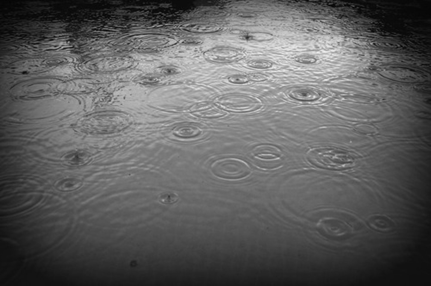 <p>When water comes back down to Earth from clouds in the form of hail, rain, snow or sleet.</p>