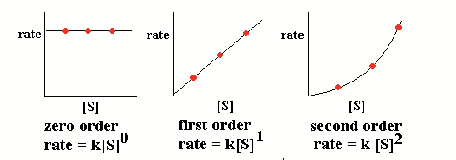 <p>Follow simple <strong>rate laws</strong>.</p>