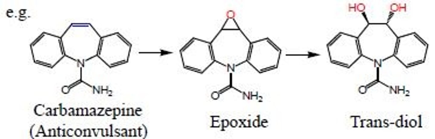 <p>a C=C in a conjugated ring will form into alcohols (oxidative biotransformation)</p>