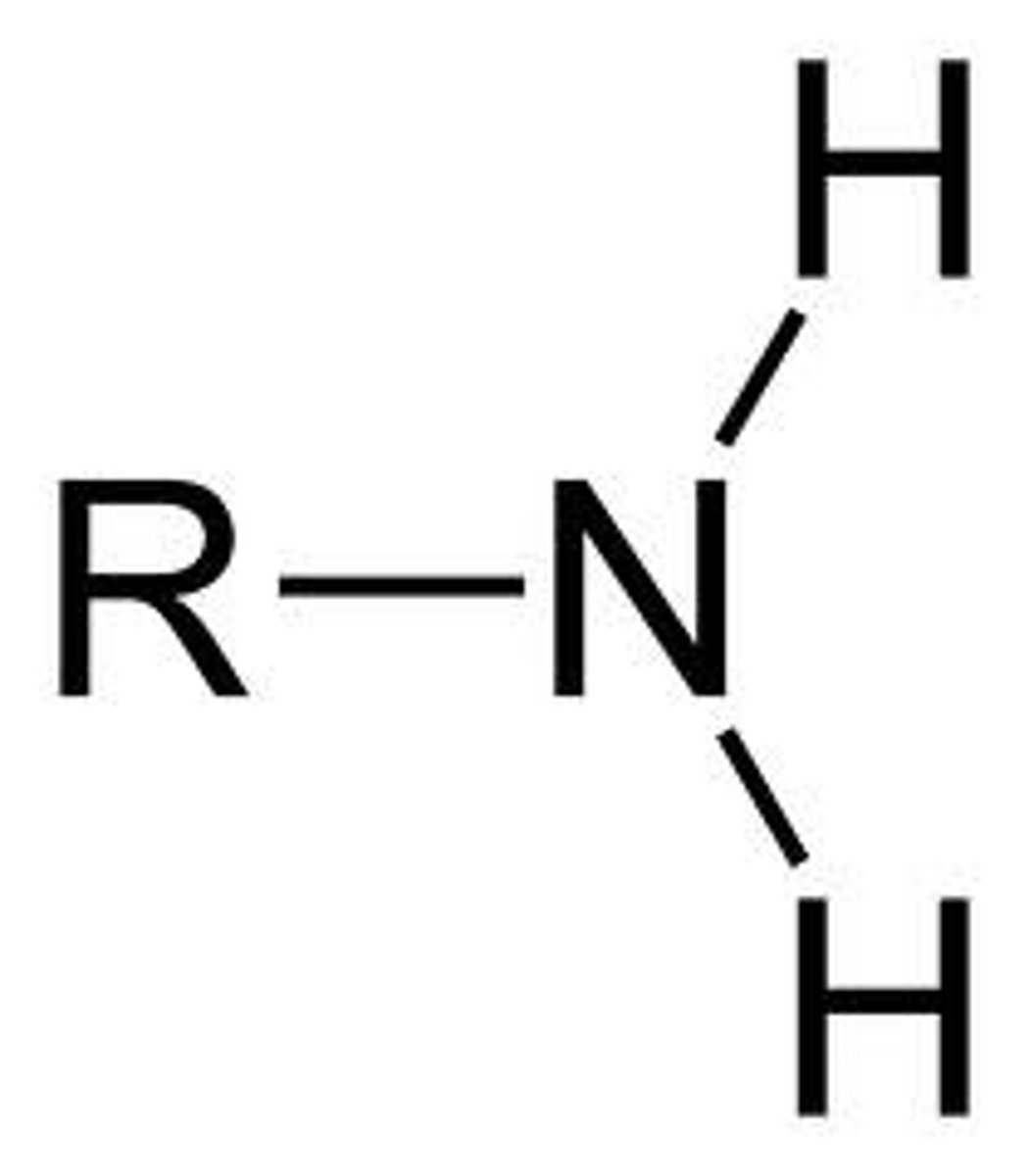 <p>primary, secondary, tertiary, quaternary(form ammonium salts, soluble due to charge)</p><p>very polar, increase solubility of 5-6 carbons</p>