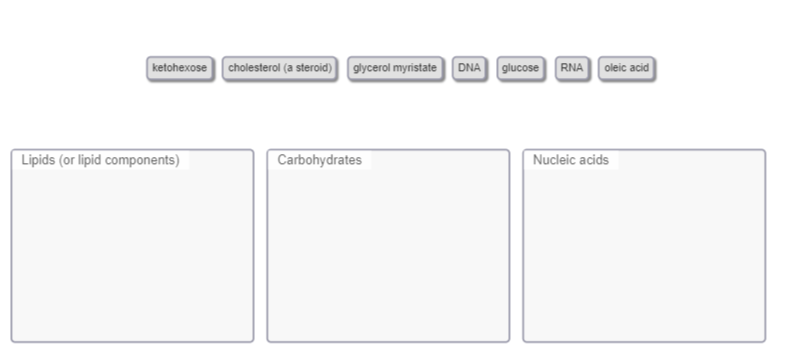 Classify the following molecules as lipids (or lipid components), carbohydrates, or nucleic acids.