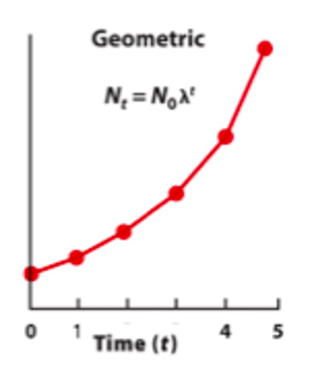 <p>population grows by increasingly faster rate at specific intervals</p>