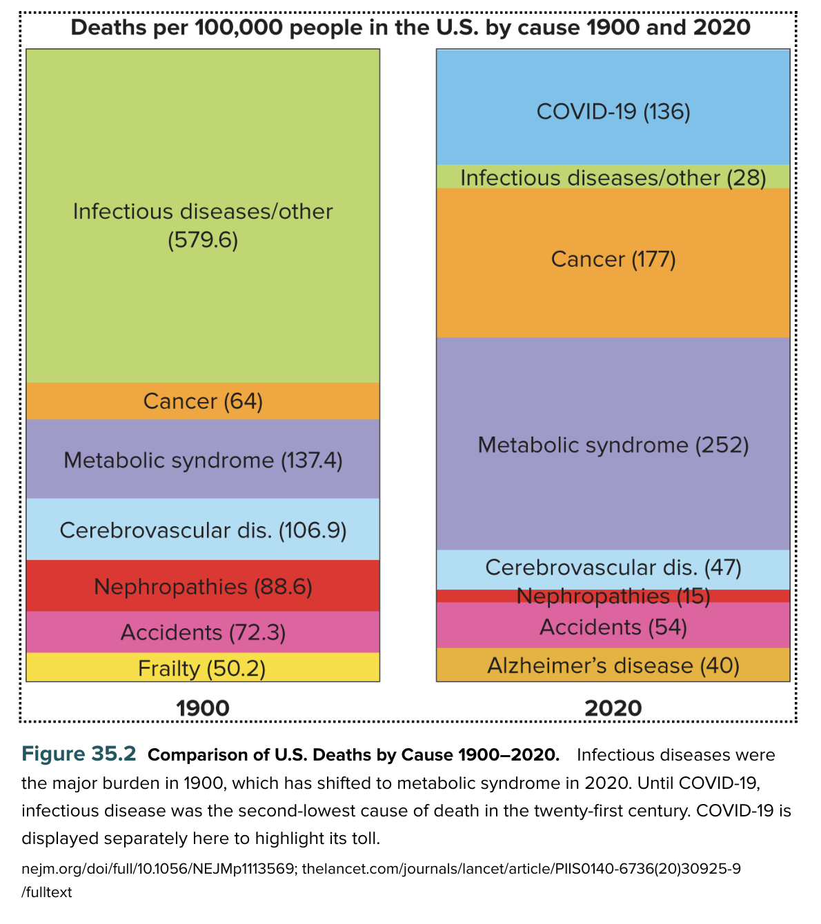 <ul><li><p>infectious disease</p></li><li><p>other health related issues (accidents, smoking, lead poisioning, aging)</p></li></ul><p></p>