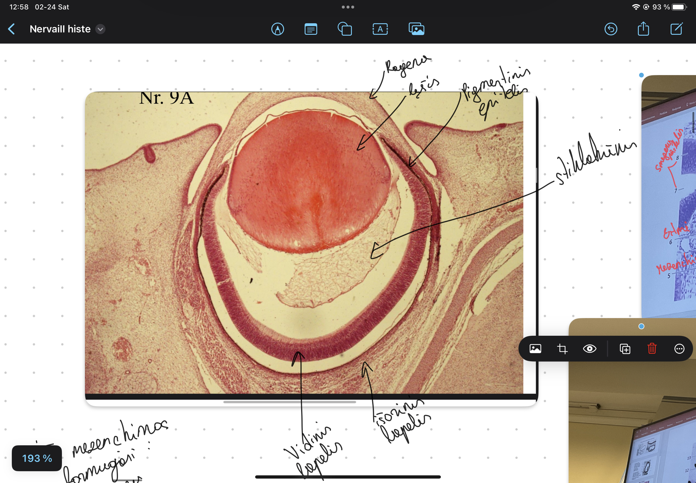 knowt flashcard image