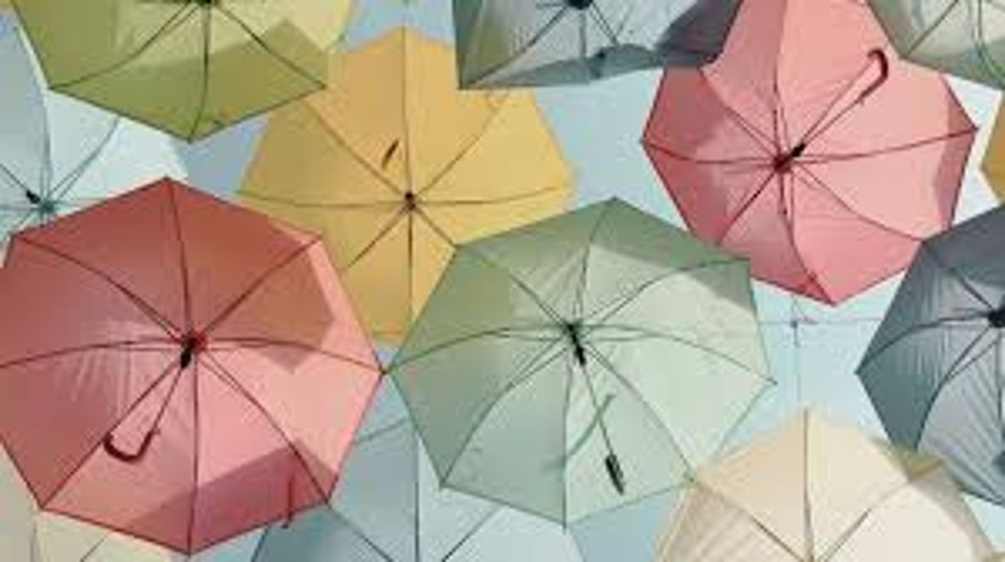 <p>Maczużnik bojowy to</p>