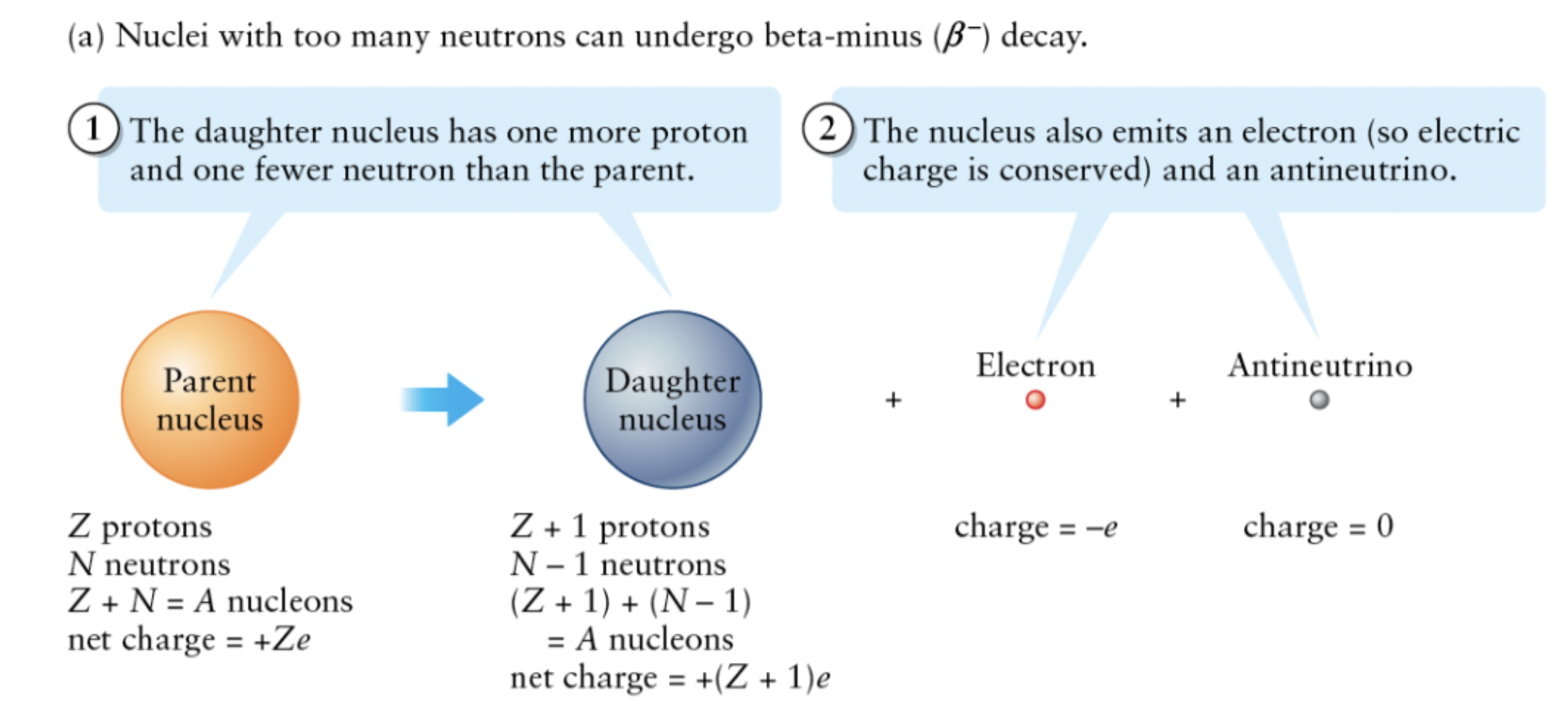 <p><span style=""><span>when a nucleus changes a neutron or proton</span></span><span style=""><br></span><span style=""><span>and emits an electron or positron.</span></span></p>