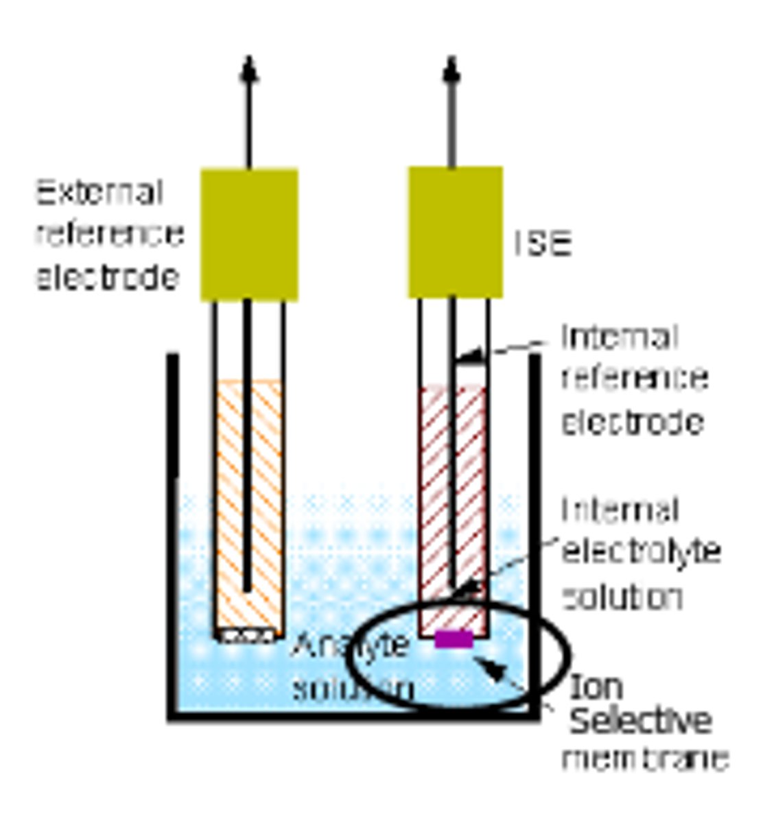 <p>not based on a REDOX reaction (no electron transfer), based on a potential difference across a membrane;</p><p>all ISEs have a permselective membrane, an inner and outer reference electrode, and a fixed concentration of the ion inside the electrode</p><p>the concentration of the analyte ion in the outer solution changes, causing the membrane potential to change</p>