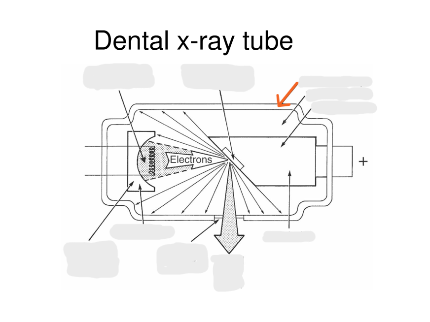 <p>a <strong>sealed environment</strong> that houses the anode, cathode, and vacuum, allowing for the generation of X-rays.</p>