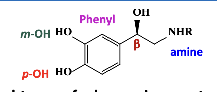 <ol><li><p>the basic amine or positively charged amine (NHR) forms a salt bridge</p></li><li><p>the phenyl ring forms pi-pi interactions</p></li><li><p>the <mark data-color="red" style="background-color: red; color: inherit;">meta</mark> &amp; para-catechol forms a hydrogen bond</p></li><li><p>the beta hydroxyl forms a hydrogen bond</p></li></ol><p></p>