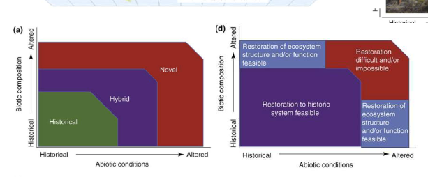 <p><span><span>combination of both</span></span></p><p><span><span>both physical and the biotic together. When they've</span></span></p><p><span><span>gone too far</span></span></p>