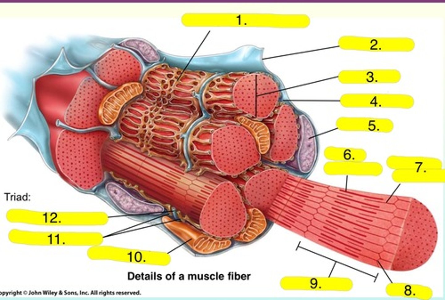 <p>Number 6.</p>
