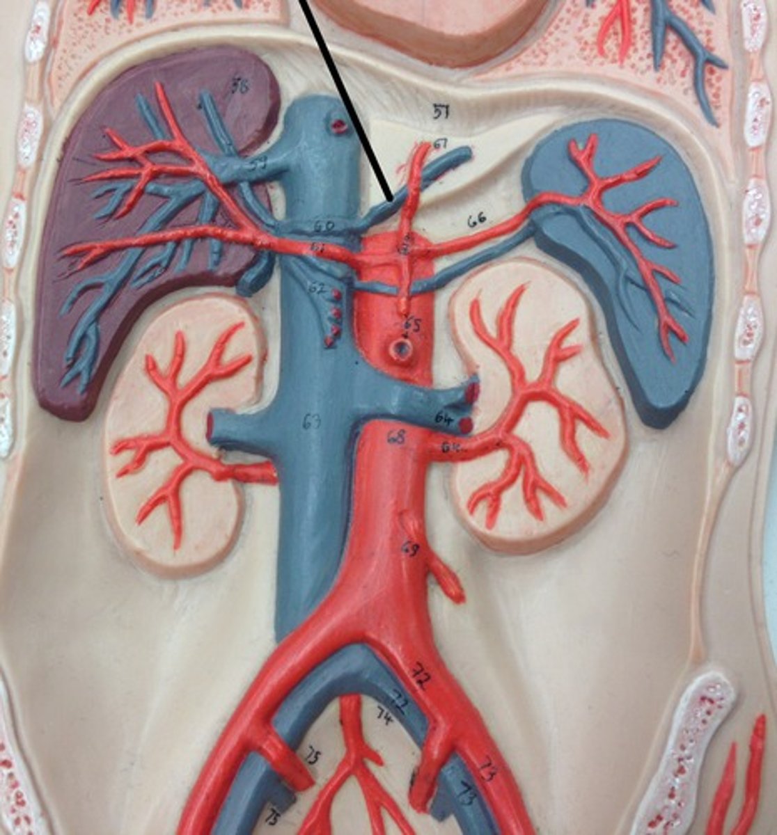 <p>What structure?</p>