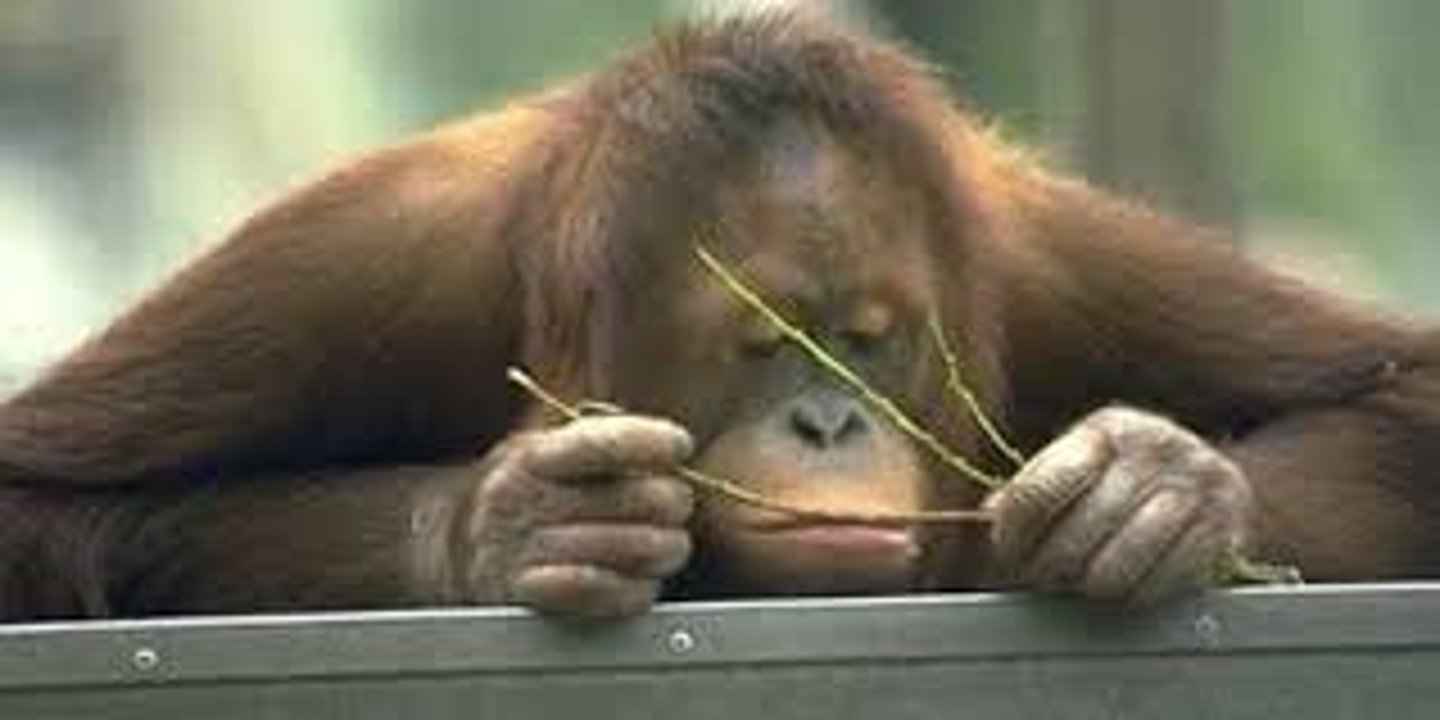 <p>wú liáo - boring</p>