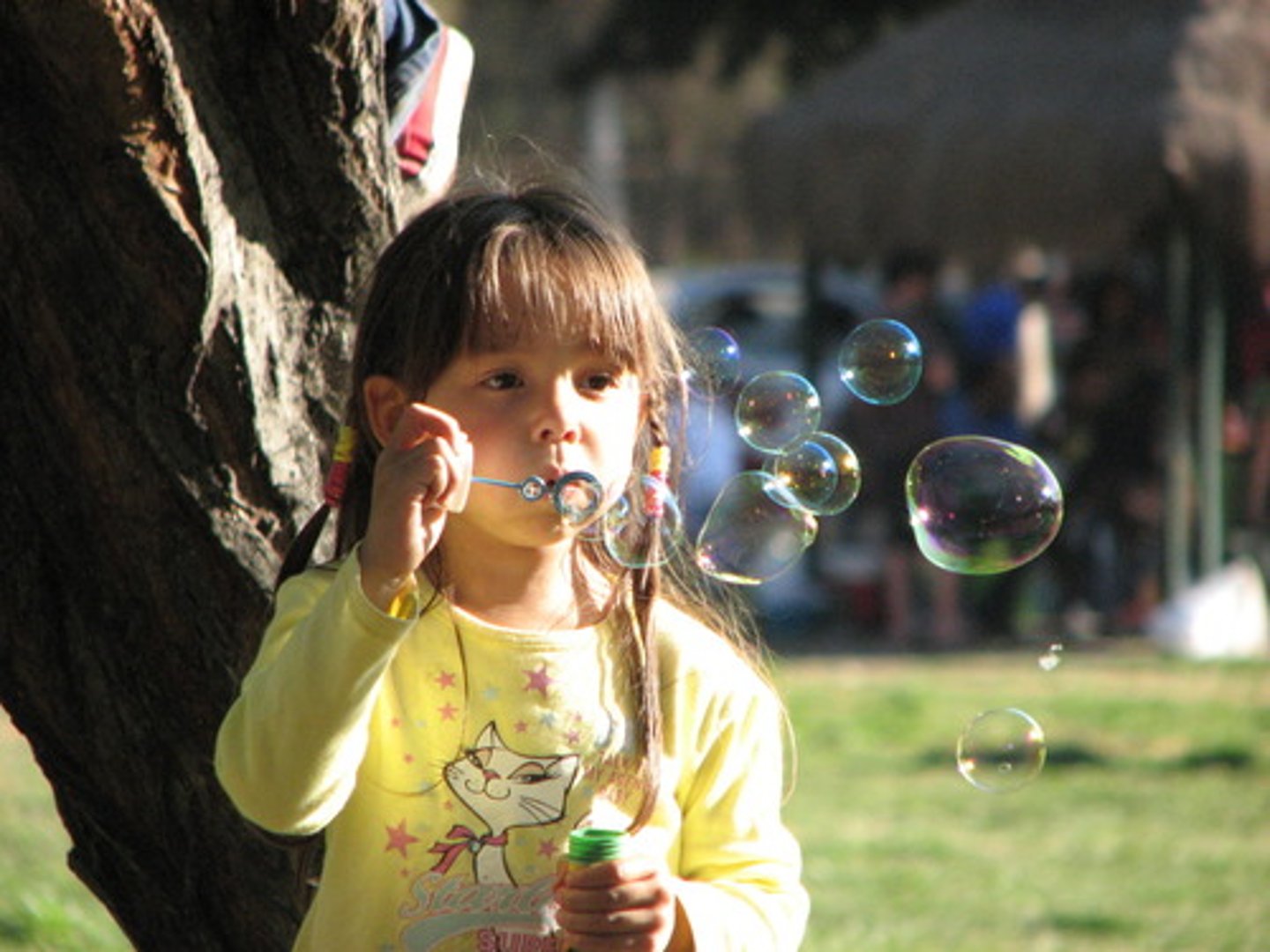 <p>to make bubbles</p>
