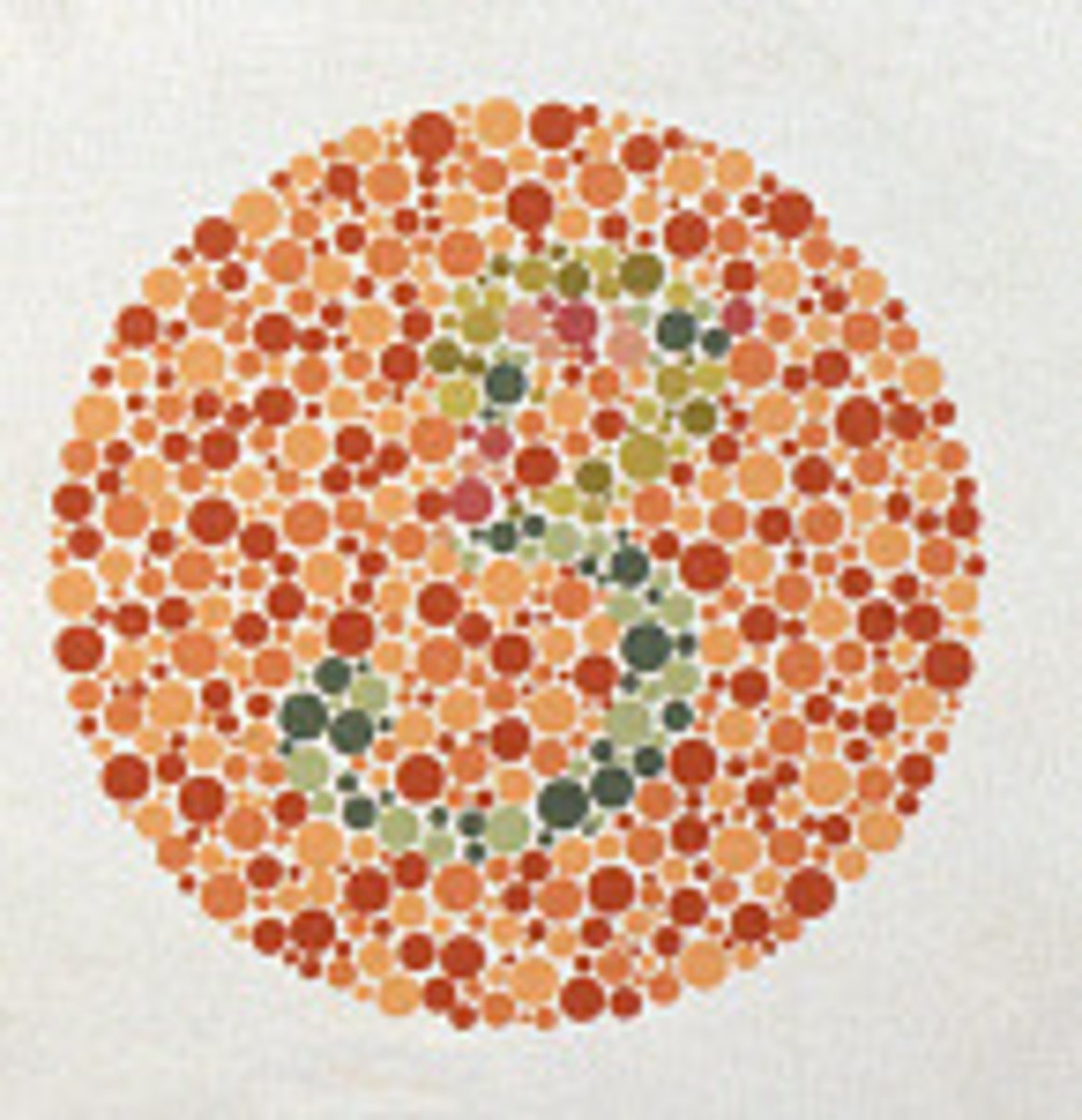 <p>when only one of the three cone types is present or functional; no color can be perceived (colorblindness)</p>