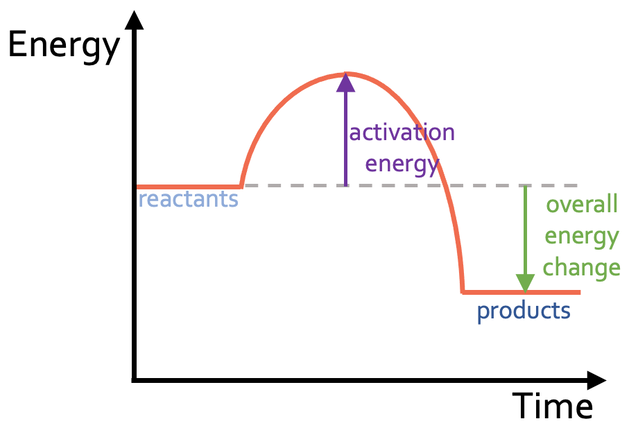 <ul><li><p>The energy level of the reactants is greater than the energy level of the products</p></li><li><p>The energy change of the reaction is negative ( energy is transferred to the surroundings)</p></li></ul>