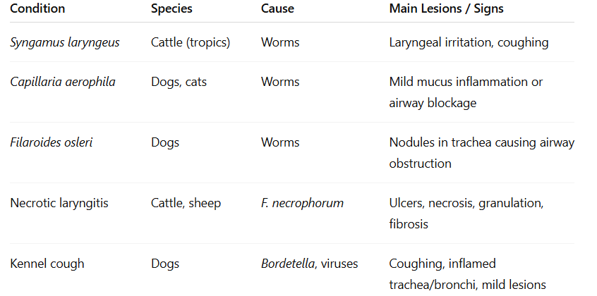<ol><li><p>Syngamus laryngeus - cattle, by worms</p></li><li><p>capillaria aerophila - dogs, cats, by worms</p></li><li><p>Filaroides osleri - dogs, by worms</p></li><li><p>Necrotic laryngitis - cattle, sheep, by F. necrophorum</p></li><li><p>Kennel cough - dogs, by bordetella, viruses</p></li></ol><p></p>