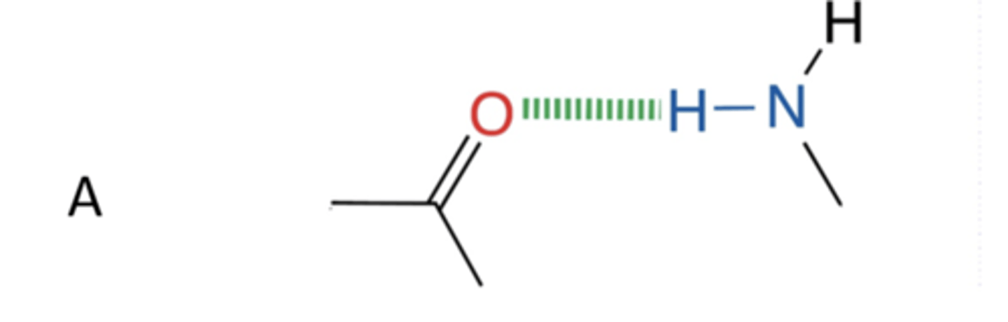 <p>hydrogen bonding</p>