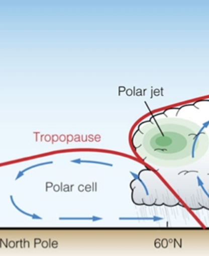 <p>A large-scale atmospheric circulation pattern found in polar regions, characterized by sinking cold air at the poles and rising air around 60 degrees latitude, influencing polar weather. </p>